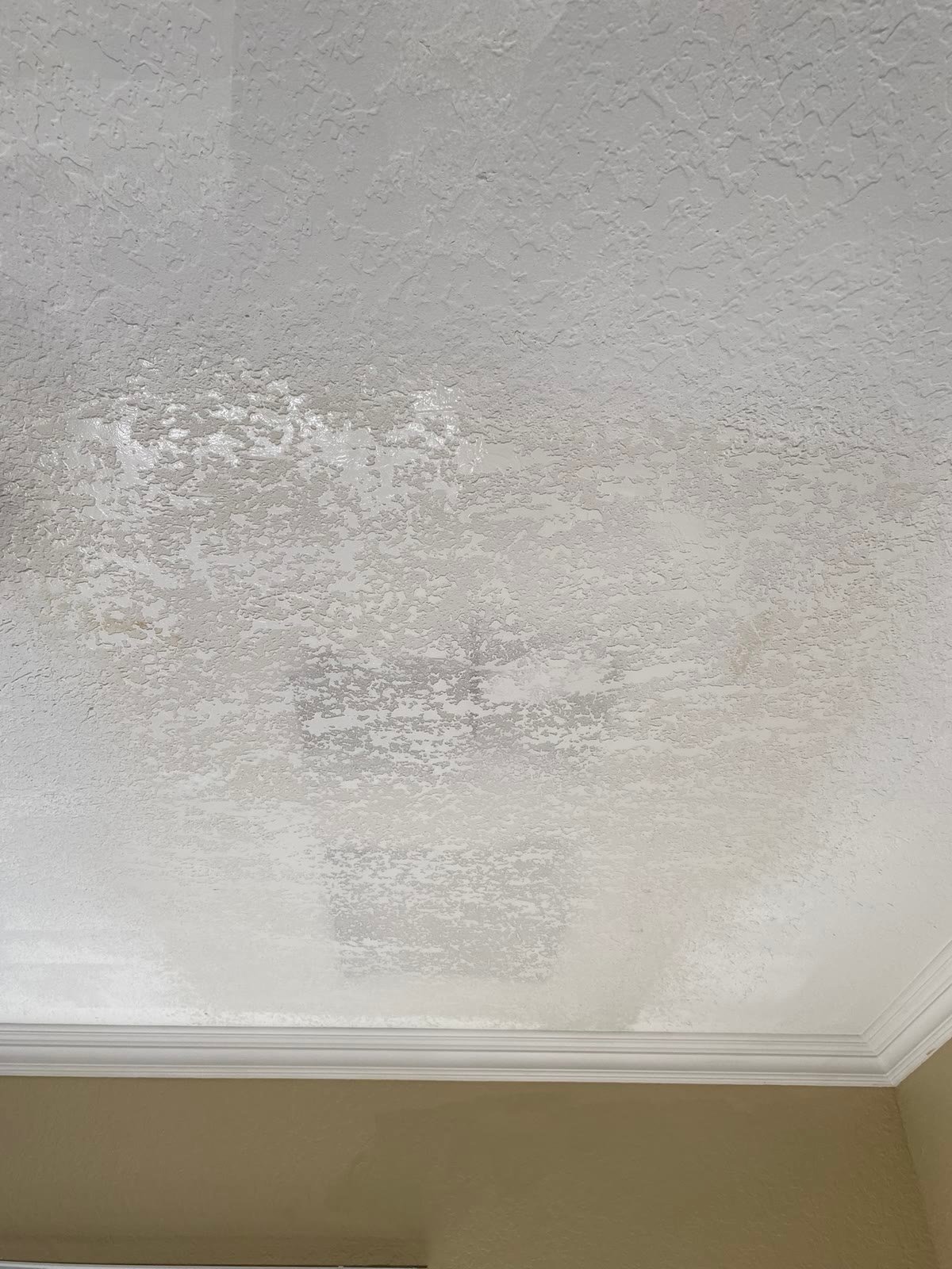 Ceiling access panel repair, finished